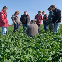 Discussion technique entre un conseiller de chambre d'agriculture et des agriculteurs dans un champ de colza.