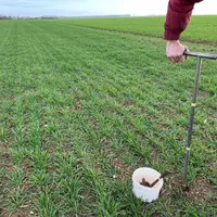 Agriculteur prélevant de la terre à l'aide d'une tarière.