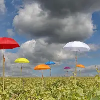 visuel d'illustration pour le sujet "Aléas climatiques, quels outils utiliser ? ". image symbolique. Dossier Ré