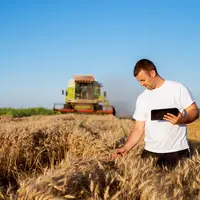 Young agronomist man standing in a golden wheat field with tablet and checking quality while combine harvester working behind.
