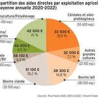 Aides PAC : quel poids dans le revenu des exploitations agricoles ?