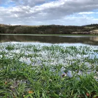 Mars 2020, parcelle de céréales inondée dans l'Eure suite à de fortes pluies.