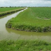 Bordure de parcelle agricole en zone de marais vulnérable.