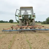Tracteur réalisant un désherbage mécanique sur une parcelle en AB.