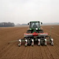 Semis de tournesol.
