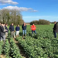<em class="placeholder">Visite d'un essais colza organisé par la coopérative Vivescia.</em>