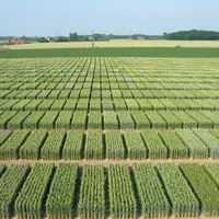 Plateformes d’essais de variétés de blé tendre.