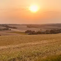 Terres du nord de la Bourgogne où cultivent les producteurs de Terres du Pays d'Othe.