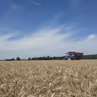 Semis de couvert d'interculture dans la céréale avec un épandeur à engrais