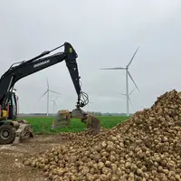 Les semis précoces de betterave présageait d'une belle récolte mais le manque de pluie se fait sentir sur certains territ