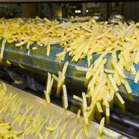 Chaine de fabrication de frites industrielles surgelées