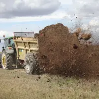 Epandage de fumier de bovin dans un champ.
