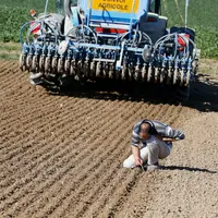 agriculteur remplissant son semoir Lemken modele solitair 9 de 27 rangs avec des graine de ble varitete Mathea conditionnees e