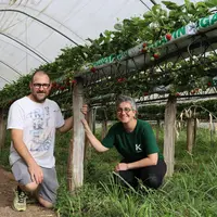 Un couple d'agriculteurs producteurs de fraises