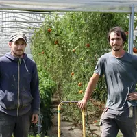 <em class="placeholder">Andoni Aguerre et Alexander Feldmann Renteria, maraîchers à Gamarthe (64) devant une serre de tomates</em>