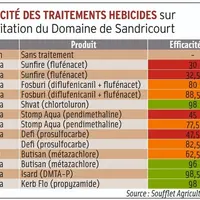<em class="placeholder">Résistance herbicide : « J’ai remplacé le prosulfocarbe par du chlortoluron, suite à un diagnostic sur ray-grass sur des parce