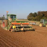 semis de blé après betterave