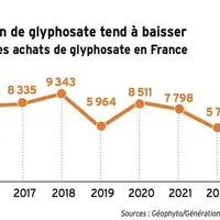 Évolution en tonnes des achats de glyphosate en France