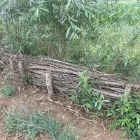 La fascine a l’avantage de présenter une efficacité immédiate après son installation contre la création de ravines.