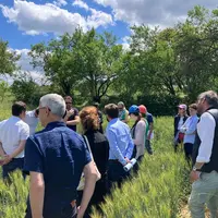 Groupe d'agriculteurs dans une parcelle de blé.