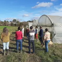 Des stagiaires en formation dans un exploitation maraîchère
