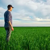 Agriculteur seul dans son champ de blé au printemps