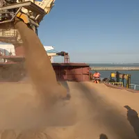 Chargement de blé dans le port de la Rochelle.