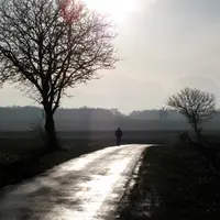 Paysage avec un champ de céréales sous la neige en hiver, avec un promeneur sur une route de campagne.