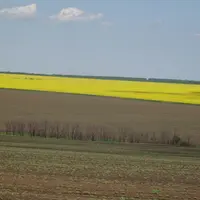 Grandes plaines de cultures au sud de l'Ukraine.