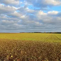 Parcelle semée en grandes cultures en novembre dans les Deux-Sèvres.
