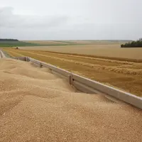Moisson des bles dans les plaines cerealieres de la Marne sous la menace de la pluie.
