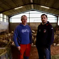 <em class="placeholder">Hervé Damestoy à gauche et Denis Damestoy à droite éleveurs de brebis à Mendionde (64), dans leur bergerie</em>