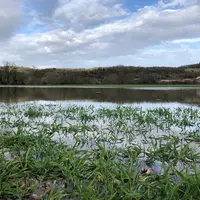 Parcelle d'orge d'hiver inondée, à proximité de la rivière Eure