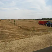 <em class="placeholder">En 2014-2015, des arbres ont été plantés en agroforesterie sur une parcelle de 3 hectares. Ce type de plantation a été renouve