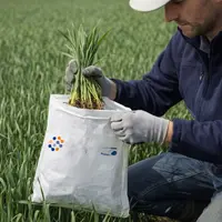 Les analyses de sève portent principalement sur des céréales avec des prélèvements possibles à différents stades, idéalement e