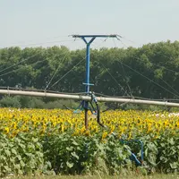 Rampe d'irrigation dans une parcelle de tournesol dans le Lot-et-Garonne.