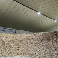 hangar agricole de stockage de pomme de terre dans le Nord
