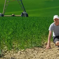 <em class="placeholder">Benoît Catala, agriculteur à Veilhes (Tarn),"Mes sojas sont irrigués avec, par exemple, six tours d’eau en 2025, ce qui l