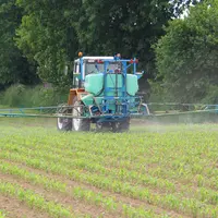 Equipement / désherbage du maïs / pulvérisateur / traitement herbicide / protection des cultures / application d'un désherbant / Utilisation de produi