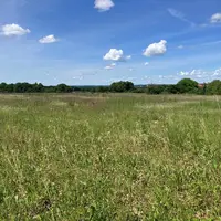Parcelle de jachère en Charente.