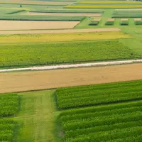 site de recherche variétale du semencier Limagrain, Domaine de Mons, à Aubiat en Auvergne