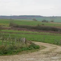 paysage de prairie. chemin rural. parcelles agricoles. terre agricole.