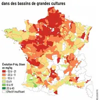De fortes diminutions de phosphore sont relevées dans le sol des bassins de grandes cultures.