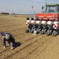 Agriculteur vérifiant son semis de betteraves à sucre.