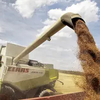 Prestataire de service avec une moissonneuse batteuse de marque CLAAS vidant sa trémie dans la remorque d'un tracteur dur
