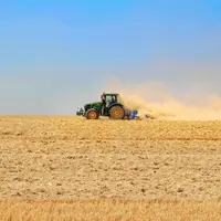 Déchaumage après récolte d'une parcelle d'orge.