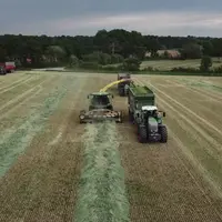 La précocité de récolte est un critère de choix de la Cive d’hiver, celle-ci devant libérer la parcelle suffisamment tôt avant