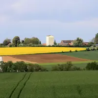 Paysage rural typique de l'Artois et du Cambresis.  Cultures, haies et bosquets. Parcelles agricoles. Parcellaire. Assole