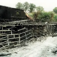 Porcins / sécurité - assurance / atelier porcin détruit par un incendie