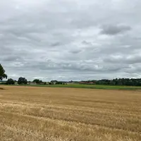 Parcelle non déchaumée dans l'Allier.